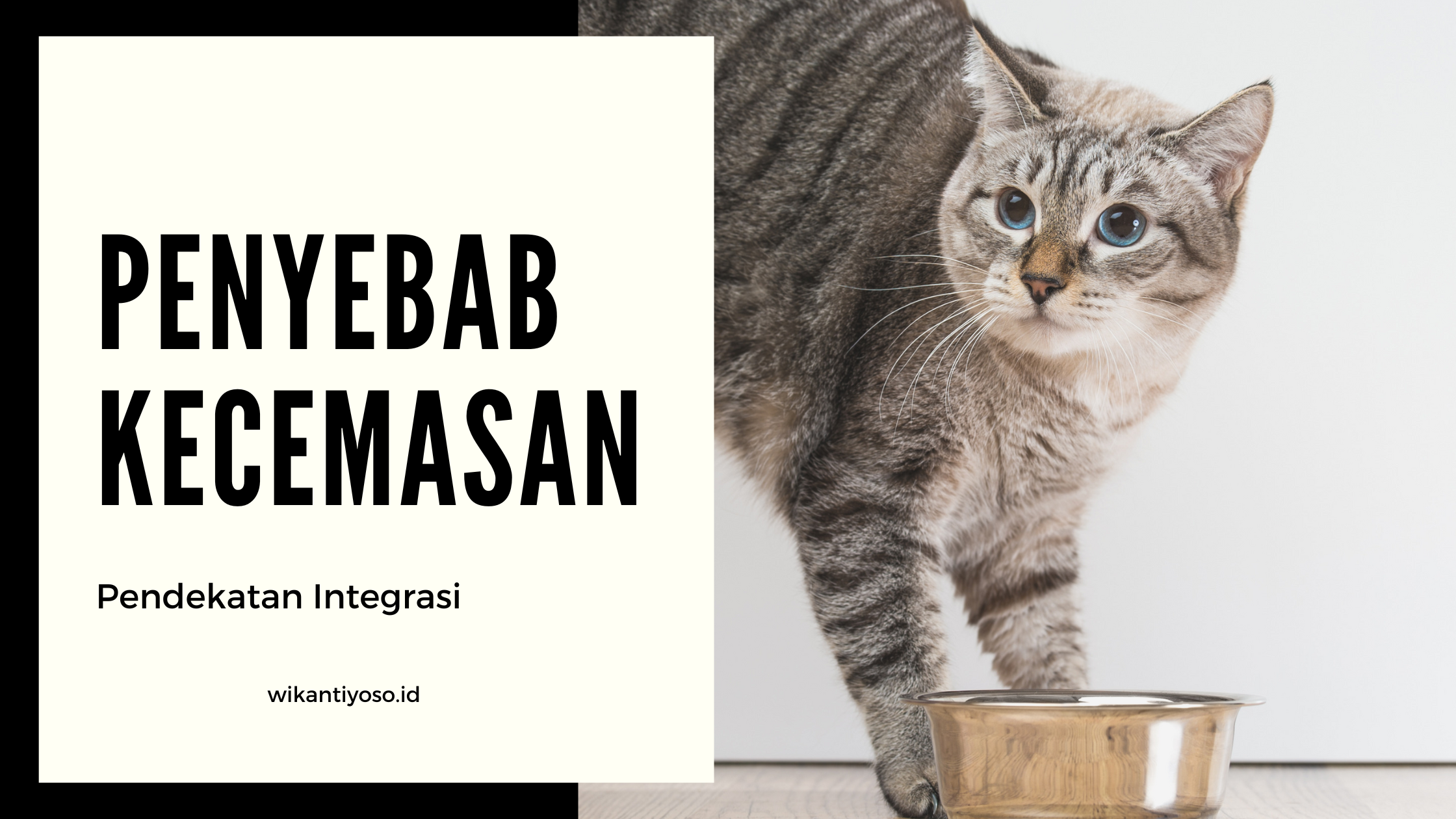 Penyebab Kecemasan Berdasarkan Perspektif Holistik